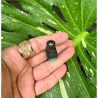 ( 5 CÁI ) Jack nguồn đực - cái DC 5.5x2.1mm có ốc vặn.