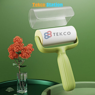 Cây Lăn Bụi Xương Rồng 10cm  - Lõi Lăn Dự Phòng