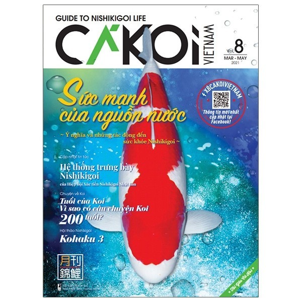 Sách Cá Koi - Tập 8 - N/A