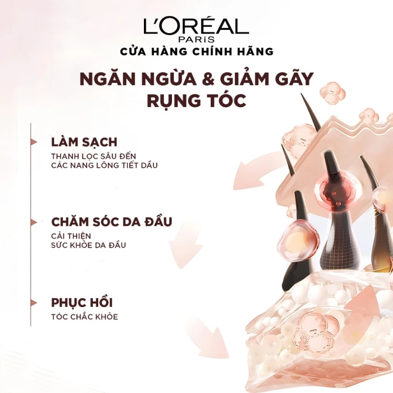 Bộ đôi dầu gội xả ngăn ngừa & giảm gãy rụng tóc, giúp tóc chắc khỏe hơn L’oreal Paris Elseve Full Resist 440ml | BigBuy360 - bigbuy360.vn