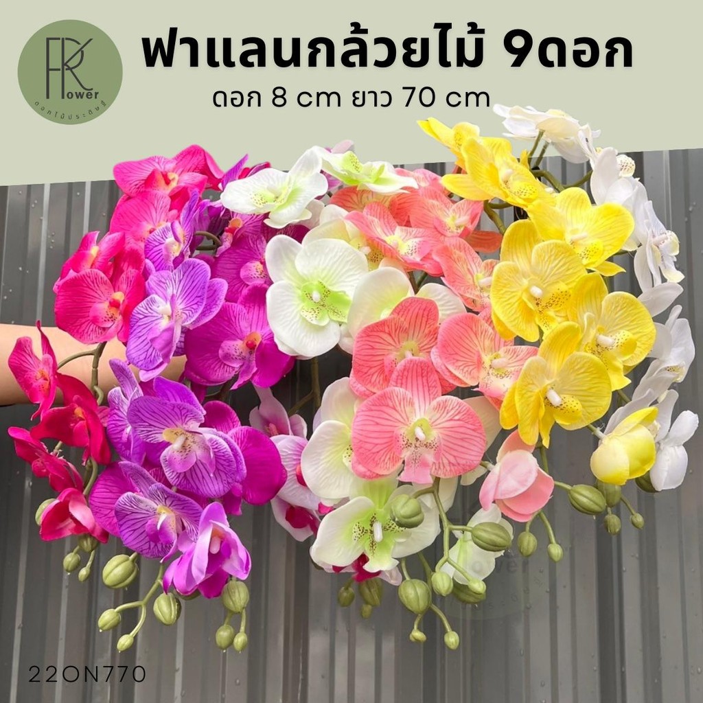 Orchids Faland Nhân Tạo 9 Vải