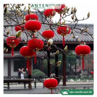 5 Đèn lồng nhung đỏ treo cây cảnh
