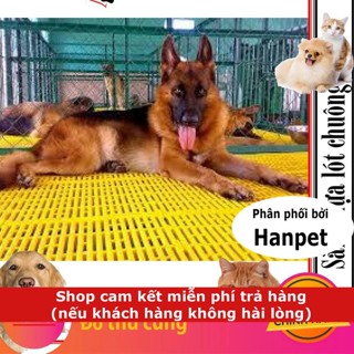 GV Tấm lót sàn chuồng thú cưng (vàng lớn 40x55cm loại 1 nặng 1,45kg) tấm nhựa lót sàn chó mèo