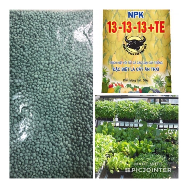 Phân bón Đầu trâu NPK 13-13-13 +TE 500gr bón cho nhiều loại cây