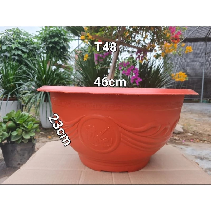 Chậu nhựa trồng cây Phúc lộc thọ T48,kích thước 46x23cm top1giadungthongminh ND1
