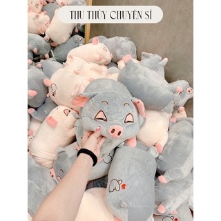 Sét gối kèm chăn hình heo - lợn kèm chăn