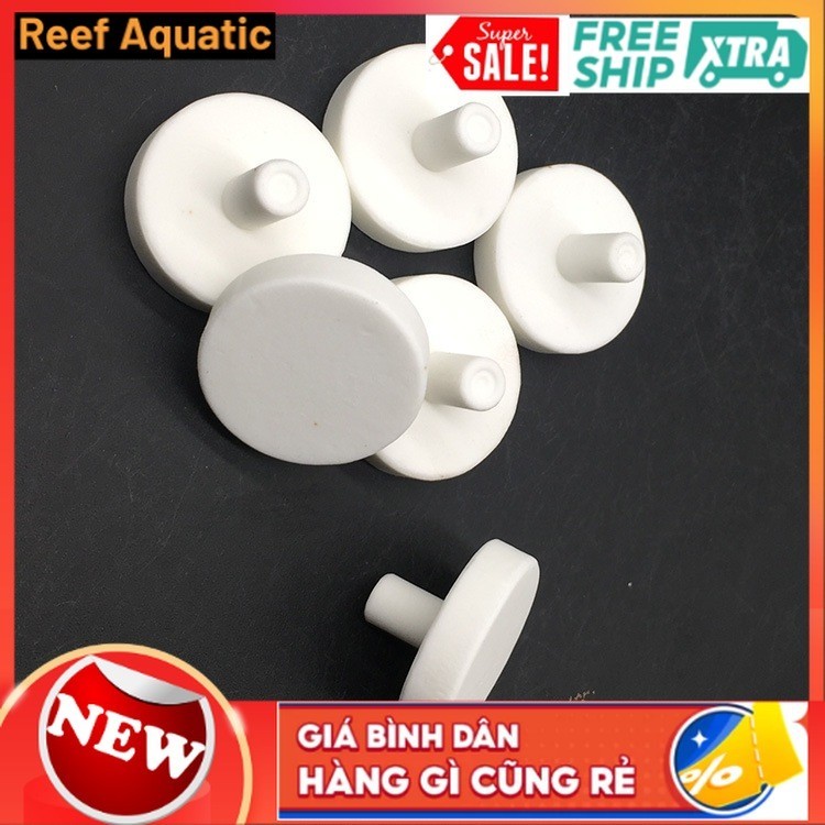 Đế frag san hô ( số lượng 300c ) bán số lượng