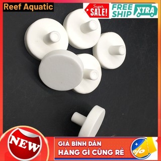 Đế frag san hô bán số lượng
