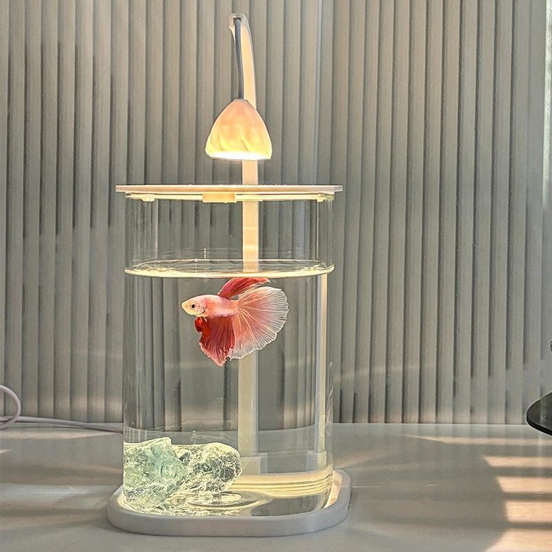 T Thái Lan Betta Bể Cá Có Nắp Dạ Quang Cảnh Quan Máy Tính Để Bàn Cảnh Quan Cao Pha Lê St