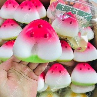  Sugar Squishy Dưa Hấu Lát Squishy Tăng Chậm 
