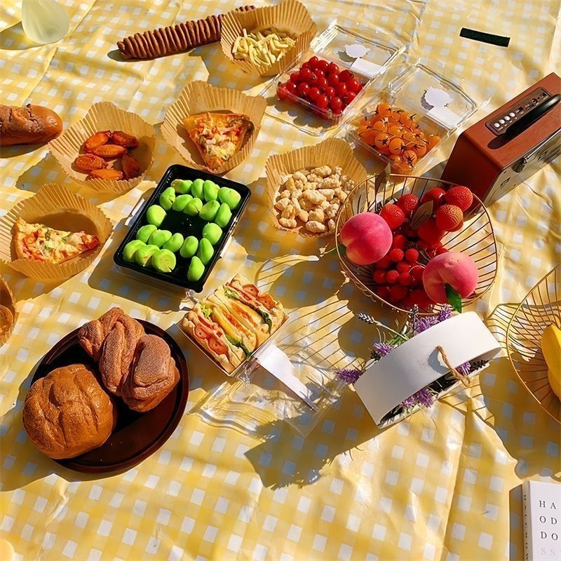 Thảm trải sàn Dã Ngoại thảm chống ẩm ngoài trời thảm trải sàn lò xo để lại di động Thảm cắm trại dã 