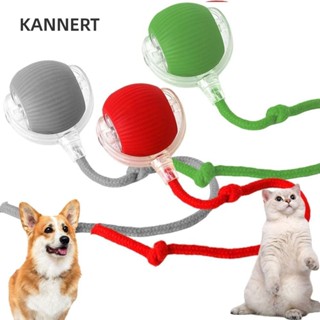 Đồ chơi mèo thông minh KANNERT, Đồ chơi bóng mèo điện tự động lăn nhanh, Tương tác có thể sạc lại trong nhà Chơi bắt chước đuôi chuột Chó mèo Bóng huấn luyện Đồ dùng cho thú cưng
