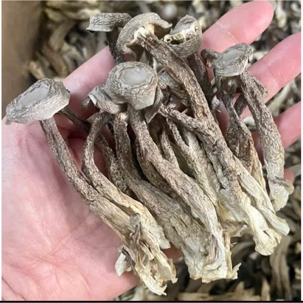 500g Nấm Lộc Nhung Khô Nguyên Cây (LOẠI NGON, MỚI) Ko Vụn