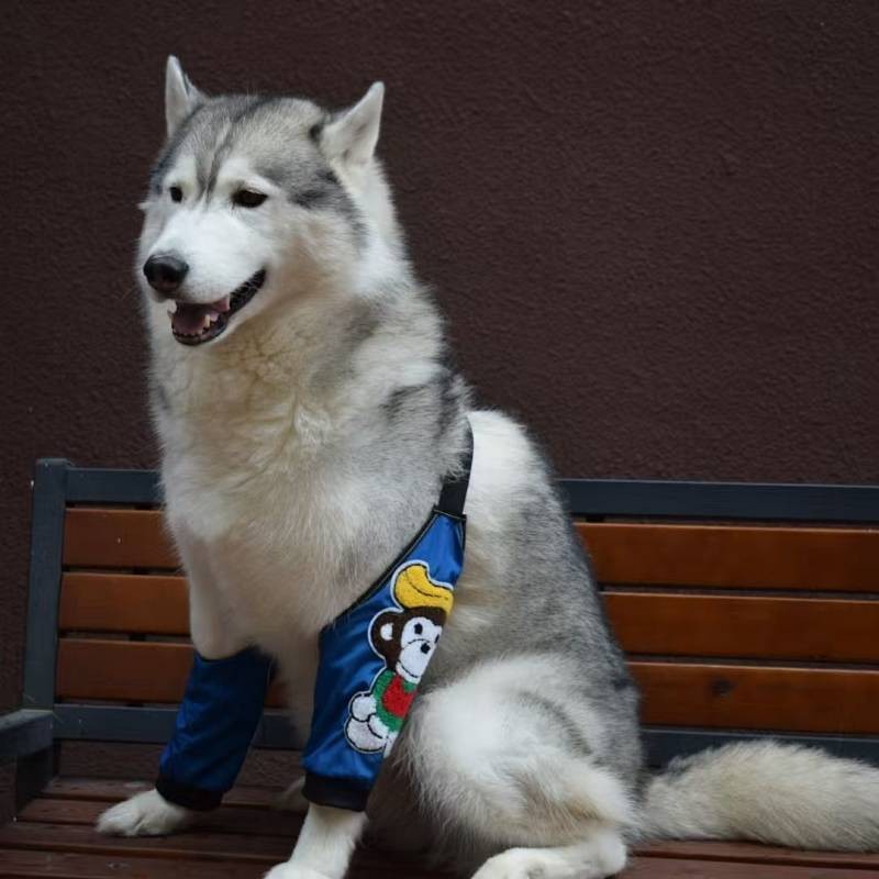 Big Dog Cartoon Towel Embroidery Elbow Pad Anti-Wear Anti-Licking Elbow Joint Front Leg Protection M