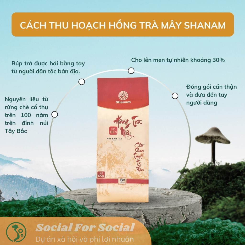 Hồng Trà Mây Tà Xùa túi 100g- Trà Shan Tuyết cổ thụ hơn 100 năm tuổi