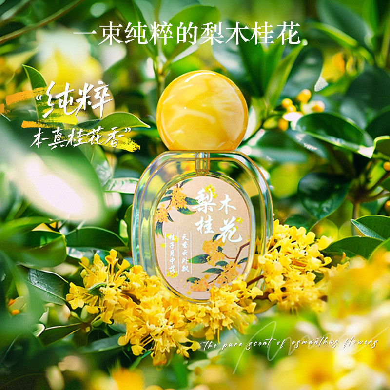 Best Quality#Chuqi Pear Wood Osmanthus Perfume Ladies Long-Lasting Light Perfume Osmanthus Fresh Flo