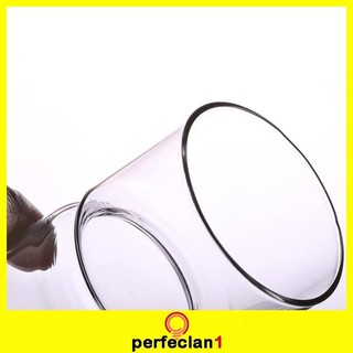 Bình thủy tinh trồng cây trang trí độc đáo