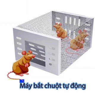 Bẫy chuột, Lồng bắt chuột, Máy bắt chuột tự động chất liệu thép không rỉ sử dụng được lâu dài