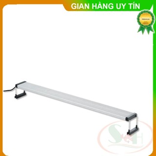  Đèn led Chihiros B 45 60 cm series quang phổ rgb bể thủy sinh cá tép store3 