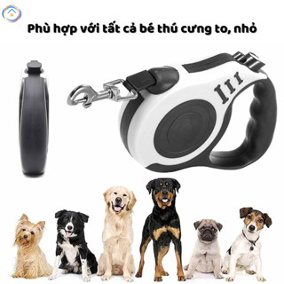 Dây xích thú cưng 3m 5m cho chó và mèo nhỏ bằng nylon có thể thu vào, tự động kéo dài, dây xích dắt chó con đi dạo
