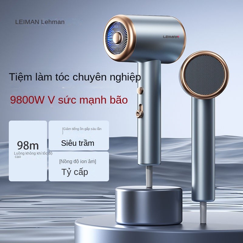 Máy Sấy Tóc Leiman Lehman, Máy Sấy Tóc Điện Công Suất Cao, Tiệm Làm Tóc, Chăm Sóc Tóc