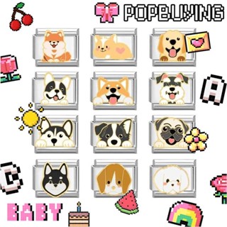 Chó Con In Hình Quyến Rũ Mô Đun Ý Quyến Rũ Vòng Tay Liên Kết Phù Hợp Với 9 Mm Vòng Tay Thép Không Gỉ Trang Sức DIY Làm