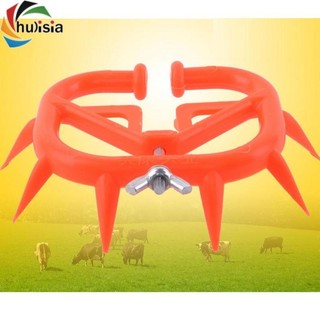 chulisia Mũi Dày Cho Bò Bò Bò Bò Kẹp Gai