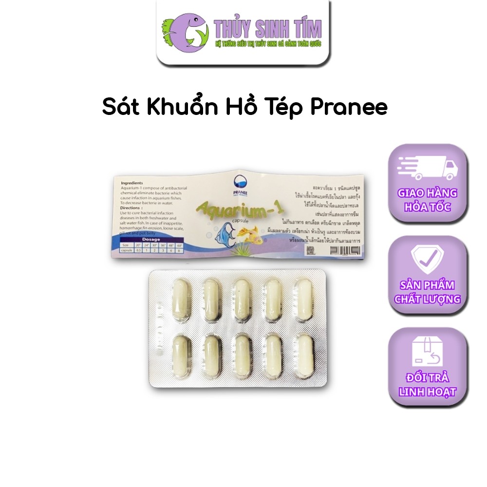 Sát Khuẩn Hồ Tép Pranee Aquarium-1