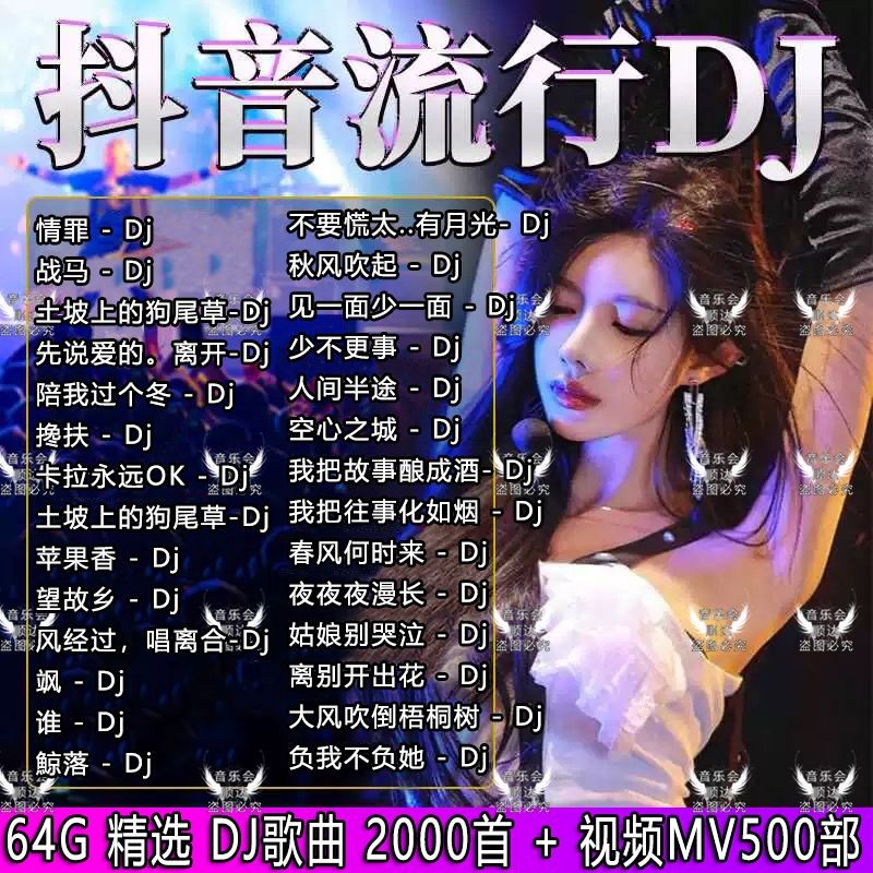 2025 Bài Hát Hot DJ Flash Drive Danh Sách DJ Trung Quốc Phổ Biến Lossless Music Car MP3 / 4 U Drive 
