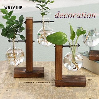 WAY2TOP Cây Thủy Sinh Để Bàn Phong Cách Cổ Điển Dùng Trang Trí Nhà Cửa