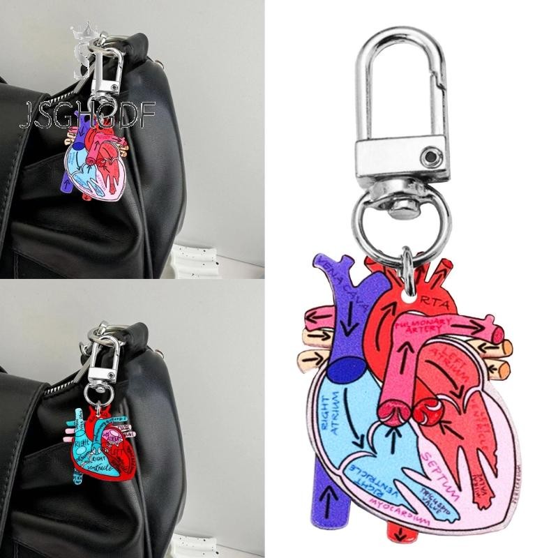 Anatomical Heart Keychain Educational Human Heart Charm for Physical Enthusiasts