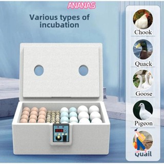 Máy ấp trứng ANANAS, Máy ấp trứng gia cầm nhỏ hoàn toàn tự động thông minh, Điều khiển nhiệt độ yên tĩnh 24 giờ Máy ấp trứng vịt gà Chim cút