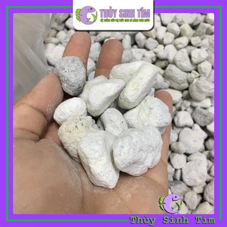 Vật Liệu Lọc Matrix Pond 100ml (Matrix Hạt To)