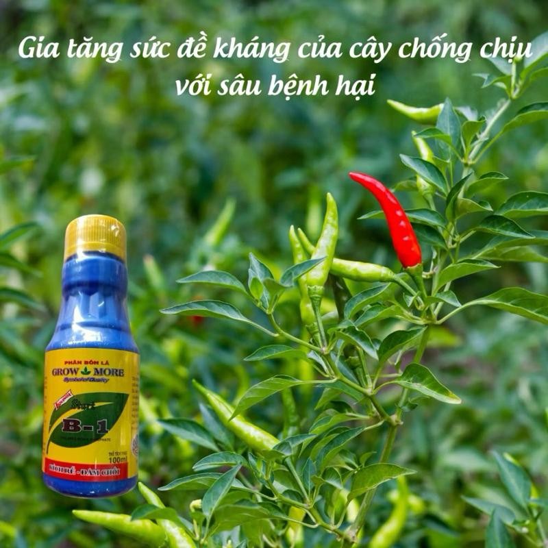 phân bón lá vitamin b1 xanh 100ml growmore
