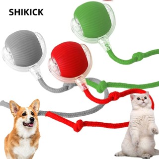 Shikick Đồ chơi bóng mèo điện, Bắt chước đuôi chuột Đồ chơi mèo thông minh tự động, Tương tác có thể sạc lại Cán nhanh trong nhà Chơi chó mèo Bóng huấn luyện Đồ dùng cho thú cưng