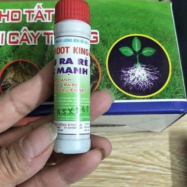 2 lọ Kích thích ra rễ cực mạnh Root King lọ 20ml hàng đẹp, phân phối chuyên nghiệp.
