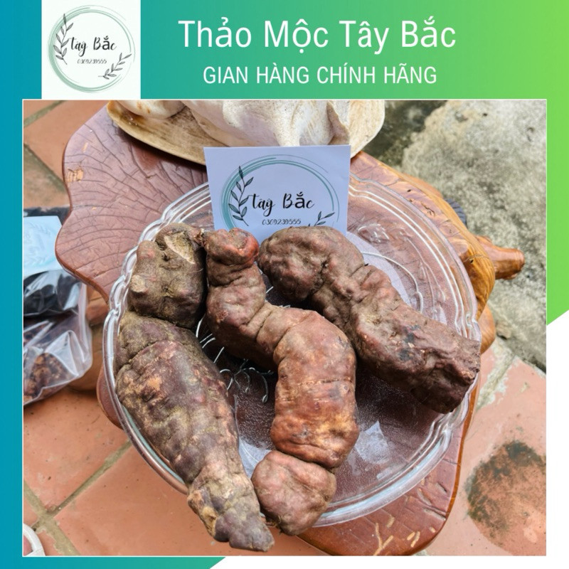 Hà Thủ Ô Đỏ tươi nguyên củ 1kg hàng chuẩn lᴏại 1 - Thảo Mộc Tây Bắc
