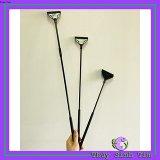 Bộ cạo rêu inox cao cấp qanvee