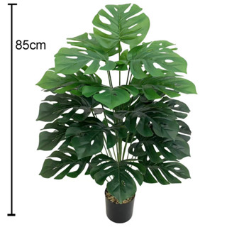 Cây lá rùa 24 lá VI158, cây cao 85cm, kích thước lá 20cm x 17cm, cây giả trang trí (không kèm chậu)