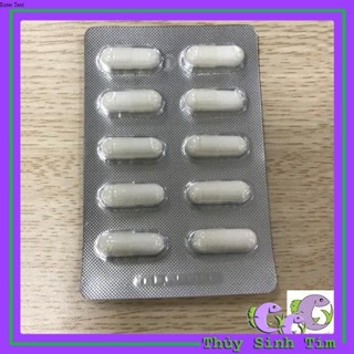 Sát khuẩn hồ tép Pranee Aquarium-1