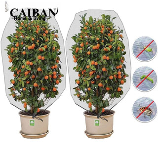 Conopery Tấm Lưới Bọc Bảo Vệ Cây Trồng Chống Côn Trùng
