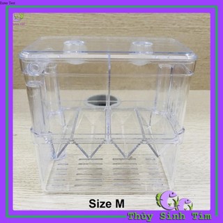 Lồng Đẻ Mica Nhiều Size Dành Cho Cá Cảnh