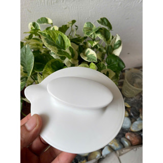 Nắp bình thủy tinh Moaz bebe, Fatz baby.