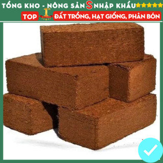 Combo 5 Viên Nén Xơ Dừa Hữu Cơ Nhỏ Gọn Giàu Chất Dinh Dưỡng Cho Cây + Tặng kèm 2 Túi Hạt Giống F1