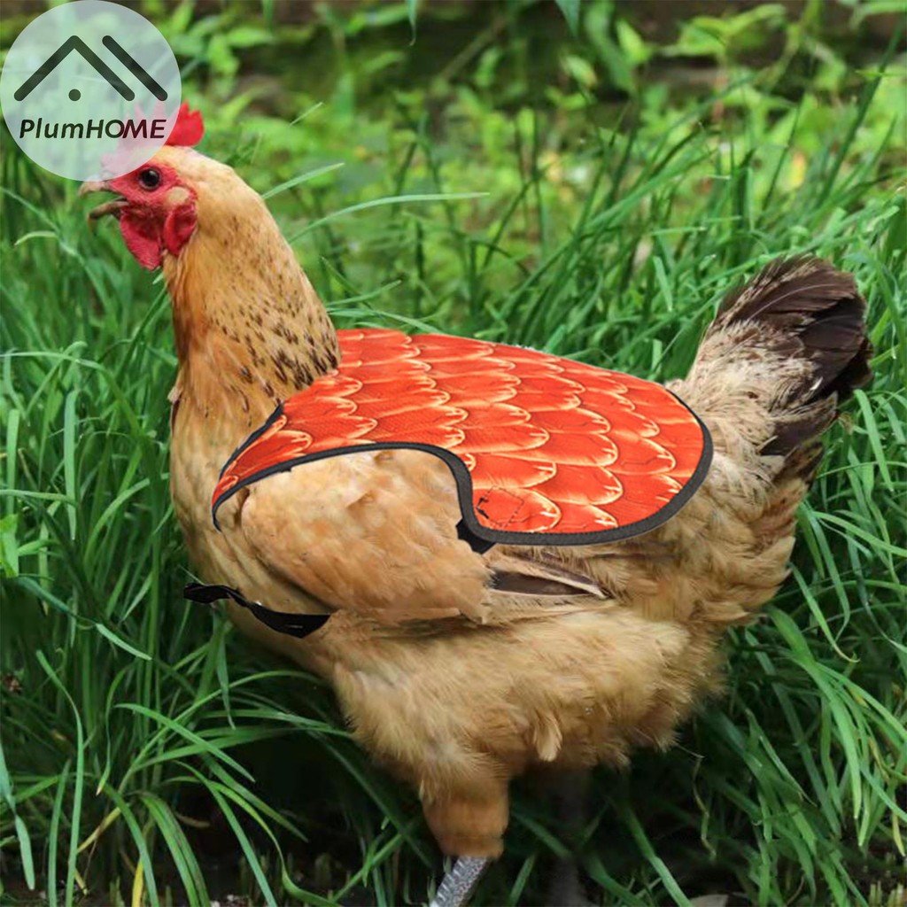 PlumHOME Gà cho gà mái, Tạp dề bảo vệ lưng gà cho gà mái có dây đeo có thể điều chỉnh, Thảm gà gà gà