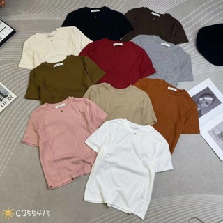 Áo thun croptop nữ tay ngắn cổ tròn tag BB trơn basic hàng Quảng Châu, áo phông baby tee mùa hè hàn quốc 255415