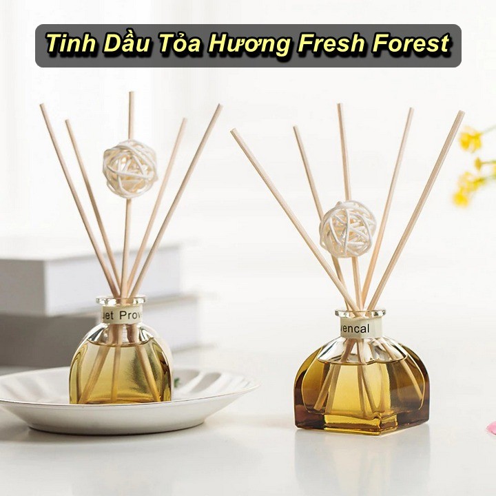 [HCM] - Tinh Dầu Tỏa Hương Fresh Forest Cao Cấp - Home and Garden
