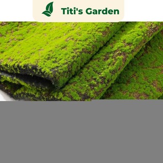 Các mẫu mô hình thảm cỏ nhân tạo, thảm cỏ giả mềm trang trí tiểu cảnh, mô hình, DIY
