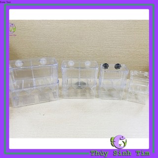 Lồng Đẻ MICA [Phụ Kiện Thủy Sinh]