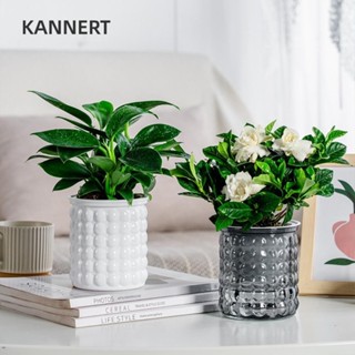 Chậu cây thủy canh KANNERT, Chậu hoa bằng nhựa có thể tháo rời, Chậu trồng cây mọng nước Mini tự tưới nước Bình để bàn